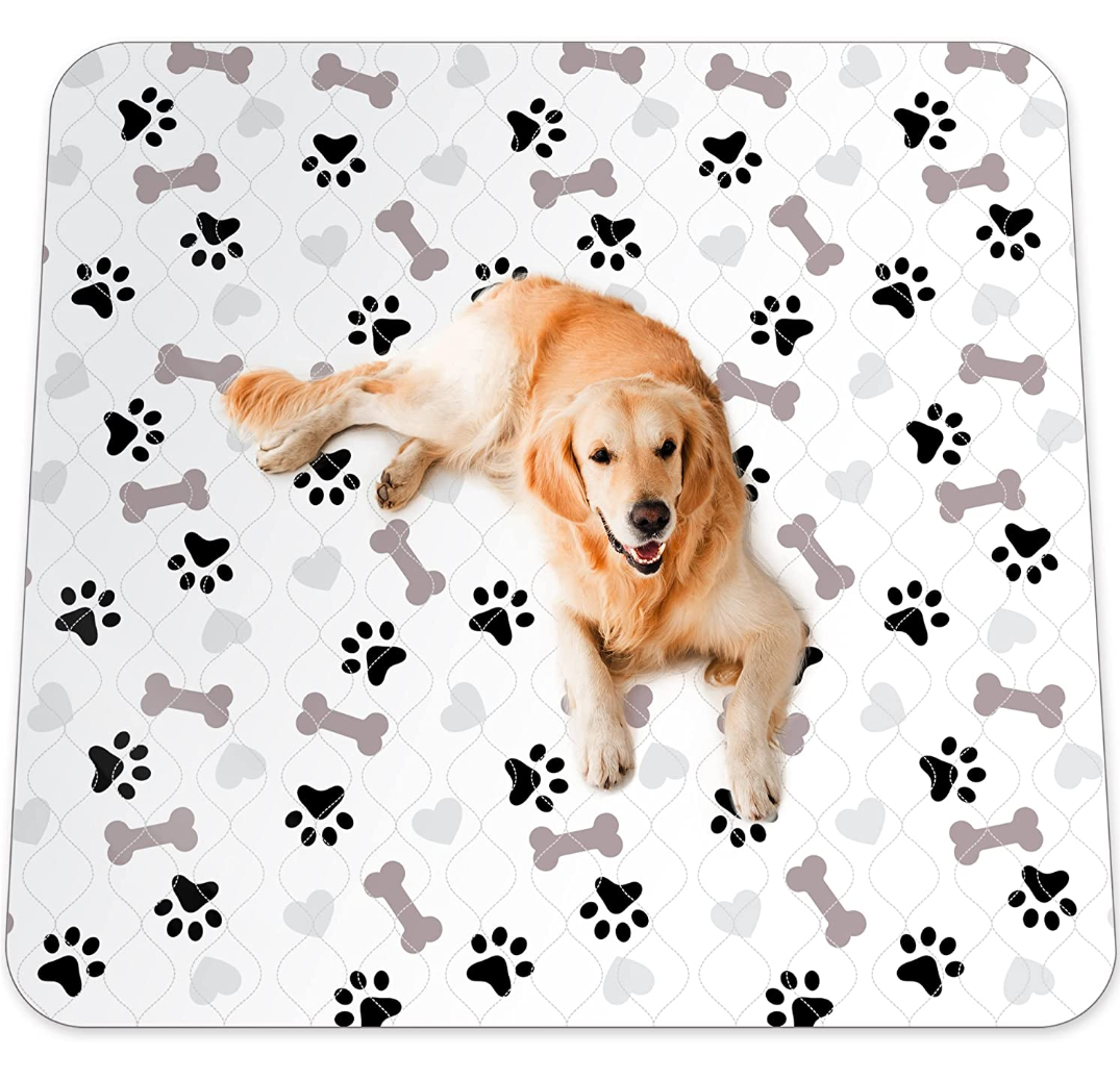 34x36 Bones Paw Print Washable Puppy Potty Pads