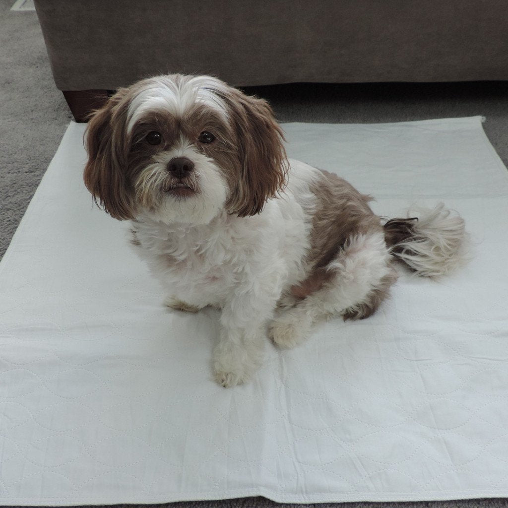 PersonallyPaws washable dog potty wee wee pee pads