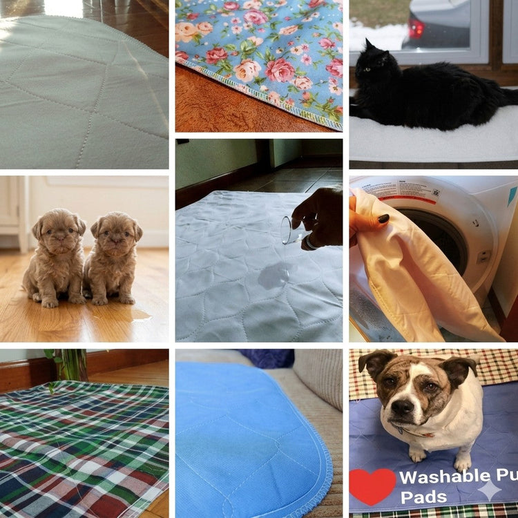 Washable Pads for Senior Pets