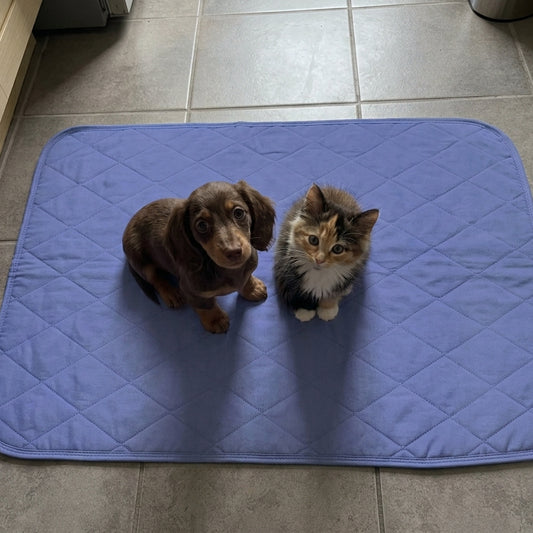 Blue Indicator Washable Pet Pads
