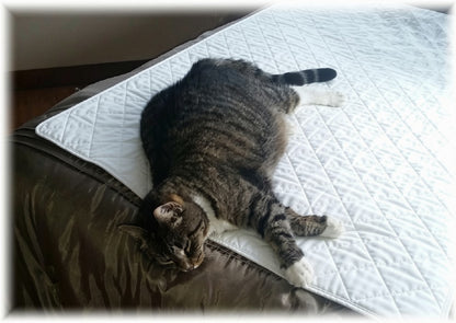 Regular Washable Reusable Cat Pads