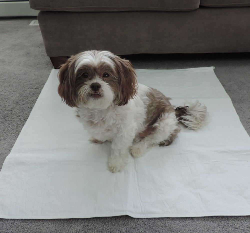 puppy potty pee pads