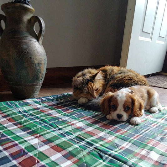 Blue Plaid Washable Pet Pads