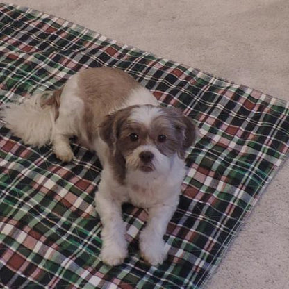 18x24 Blue Plaid Washable Puppy Pads