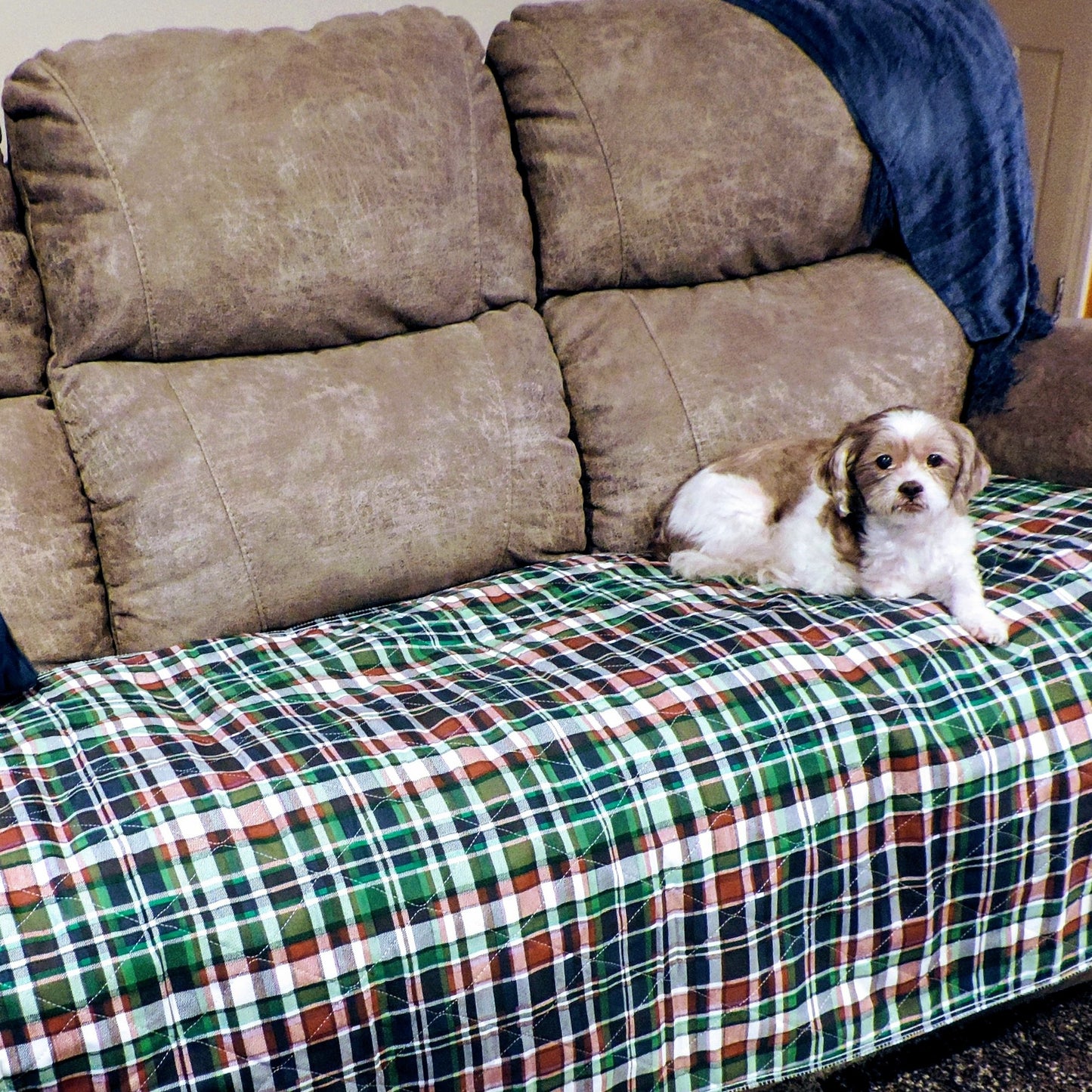 35x72 Blue Plaid Washable Puppy Pads