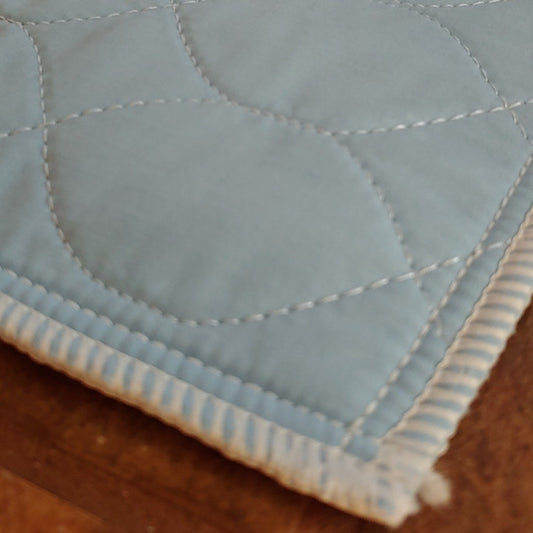 Clearance 2Pk "less than perfect" 18x36 Lt Blue Washable Puppy Pads