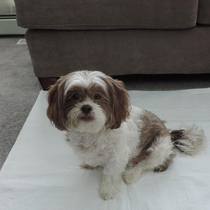 PersonallyPaws Washable dog potty wee wee pee pad