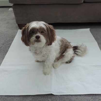 PersonallyPaws.com 24x36 Regular Washable Leak Proof potty Pads