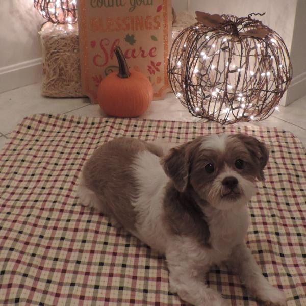 34x36 Tan Plaid Washable Pet Pads